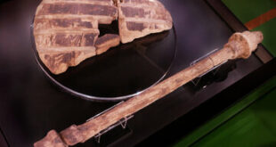 اولین چرخ جهان، کی و کجا ساخته شد؟