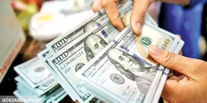 اتمام حجت فرزین با بازار ارز | دلار گران تر از این قیمت نمی شود
