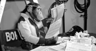 میمون می‌تواند شکسپیر شود؟ / معما حل شد