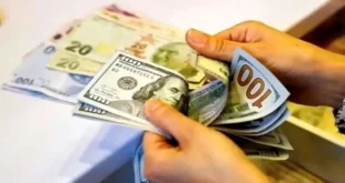 خبر فوری درباره سقوط آزاد قیمت دلار در بازار آزاد