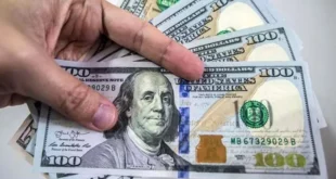 قیمت دلار امروز در بازار آزاد ۱ دی اعلام شد + جدول نرخ ارز