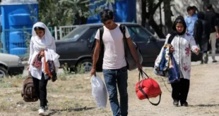 اتباع غیرمجاز زیر تیغ قانون | افغان ها زانوی غم بغل کردند