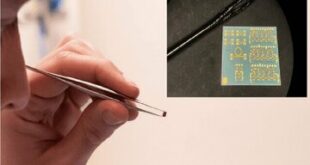 این تراشه از بذر توت‌فرنگی کوچک‌تر است / تقویت‌کننده سیگنال ارتباطات فضایی