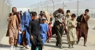 اتباع افغانی کارفرمایان را سوپرایز کردند