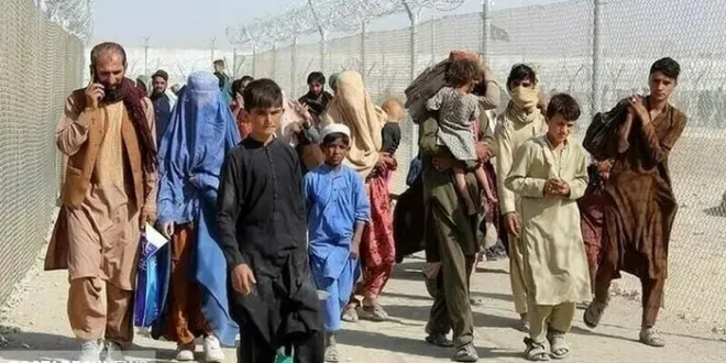 اتباع افغانی کارفرمایان را سوپرایز کردند