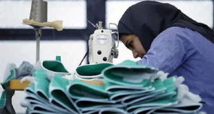 زنان کرجی رکورد بازار کار را شکستند