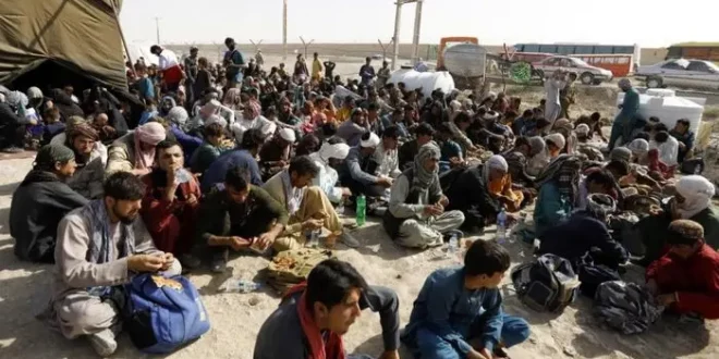 سود بزرگ افغانستانی ها در ایران | اتباع پول تاراج می کنند