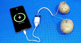 شارژ گوشی با سیب‌زمینی/ واقعیت یا عوام‌فریبی؟