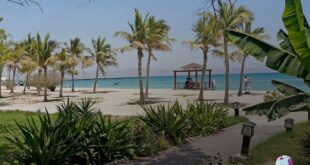 گشت جزیره کیش را نخرید؛ رایگان هدیه بگیرید!