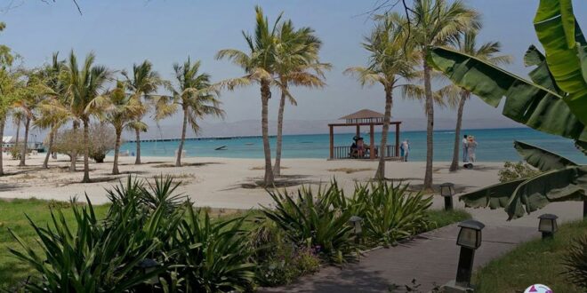 گشت جزیره کیش را نخرید؛ رایگان هدیه بگیرید! گشت جزیره کیش را نخرید؛ رایگان هدیه بگیرید!