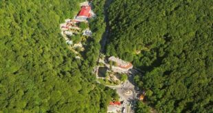 آشنایی با جنگل ناهارخوران در گرگان