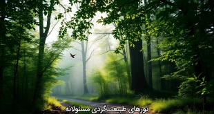 تورهای طبیعتگردی مسئولانه