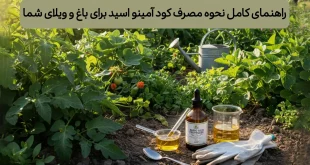راهنمای کامل نحوه مصرف کود آمینو اسید برای باغ و ویلای شما
