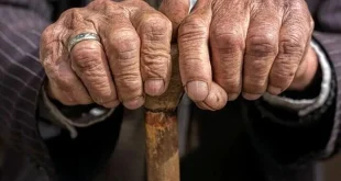 هدیه ناخواسته دولت به اتباع افغان؛ بازار کار دودستی تقدیم مهاجران شد