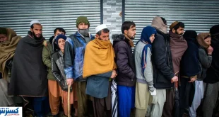 ویزای ۹ ماهه کارگری برای اتباع افغان؛ ورود خانوادگی متوقف شد