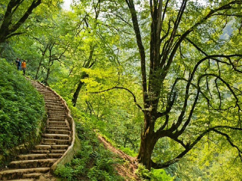 جاهای دیدنی ماسوله که حتماً باید ببینید