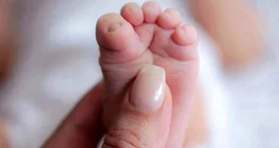 دولت سنگ تمام گذاشت ؛ آغاز ثبت نام سهام ویژه نوزادان + لینک اصلی