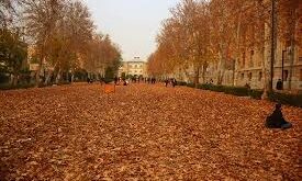 پاییز ـ برگ با ۴١ اثر هنری در میدان مشق