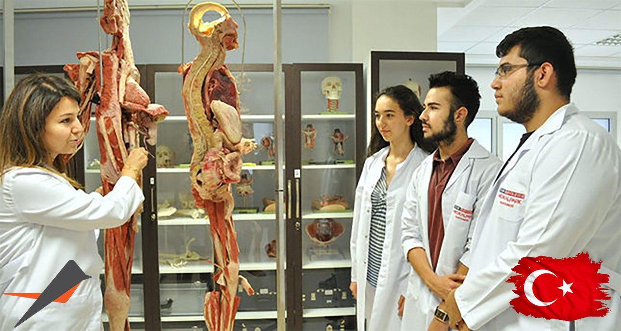 پزشکی در ترکیه 2025: چطور با کمترین هزینه وارد برترین دانشگاهها بشیم؟ تحصیل پزشکی در ترکیه در سال 2025