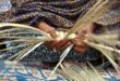 صنایع دستی هرمزگان بازار پسند و صادراتی؛ ظرفیتی برای ارزآوری برای کشور