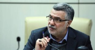 ظفرقندی: پزشکان برای رفتار حرفه ای سوگند خورده اند