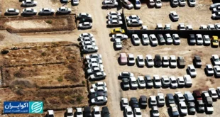 رؤیای بر باد رفته‌ برادارن خیامی/ چرا از کره‌جنوبی عقب ماندیم؟