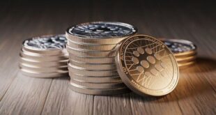 رمزارز‌ها وارد فاز سکون شدند / سیگنال تورم چه می‌گوید؟