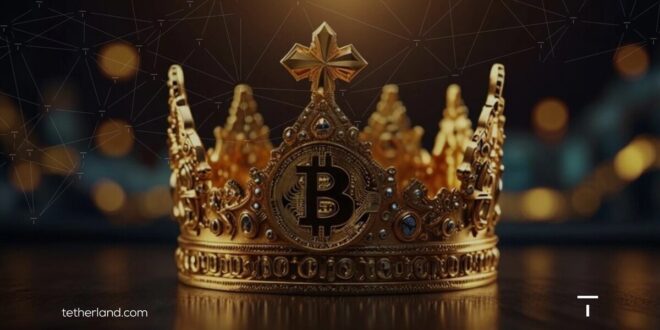 چه عواملی باعث نوسان پادشاه رمزارزها می شوند؟