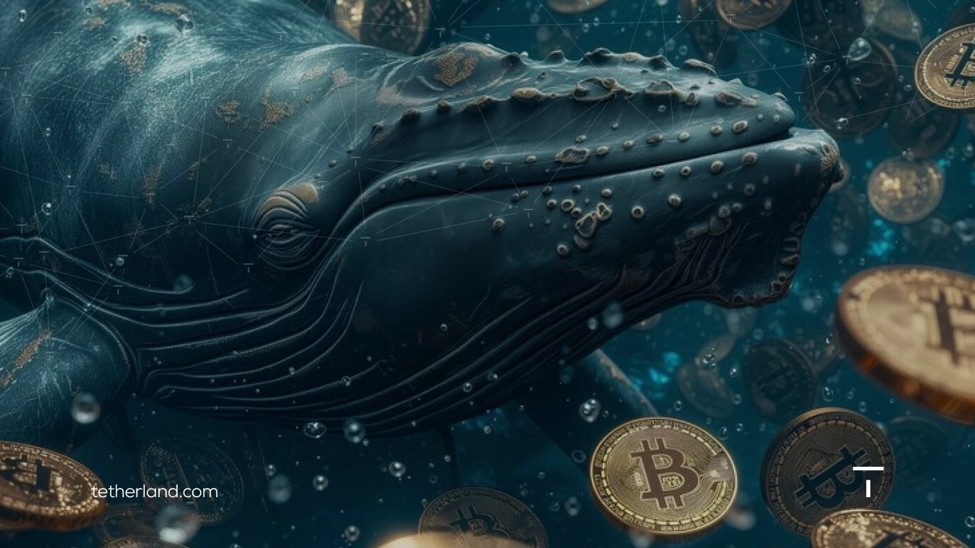 چه عواملی باعث نوسان پادشاه رمزارزها می شوند؟