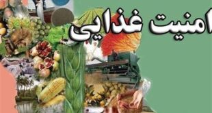 ایران در مسیر تبدیل به هاب امنیت غذایی منطقه با همکاری پاکستان