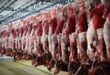 تامین مطلوب گوشت قرمز در بازار/ پیش بینی افزایش تولید