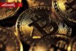 بهترین سال بازار کریپتو؛ ۱۰ سال متفاوت از بلوغ بازار