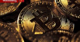 بهترین سال بازار کریپتو؛ ۱۰ سال متفاوت از بلوغ بازار