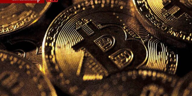 بهترین سال بازار کریپتو؛ ۱۰ سال متفاوت از بلوغ بازار