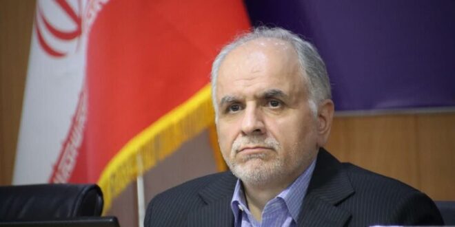 رحیمی: پیگیر خسارات وارده به میراث تاریخی ایران تا حصول نتیجه هستیم