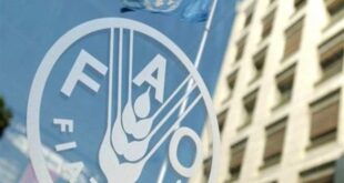 رشد 2.4 درصدی قیمت جهانی غذا در یک ماهه جنگ آمریکا علیه ایران