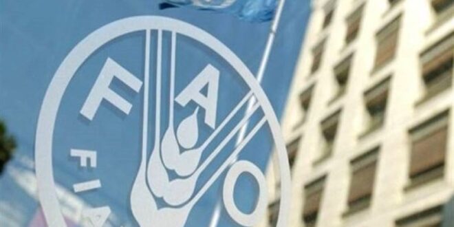 رشد 2.4 درصدی قیمت جهانی غذا در یک ماهه جنگ آمریکا علیه ایران رشد 2.4 درصدی قیمت جهانی غذا در یک ماهه جنگ آمریکا علیه ایران