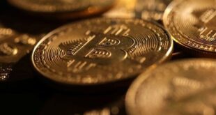 آخرین وضعیت بازار رمزارزها در جهان / ترمز بیت‌کوین کشیده شد