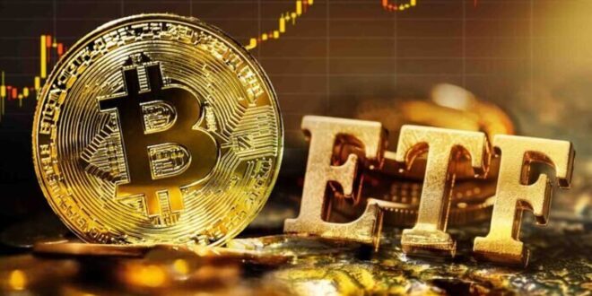 آخرین وضعیت بازار رمزارزها در جهان / خروج سرمایه از صندوق‌های بیت‌کوین رکورد زد