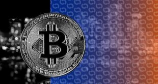 آخرین وضعیت بازار رمزارزها در جهان / فعالیت شبکه بیت‌کوین اوج گرفت
