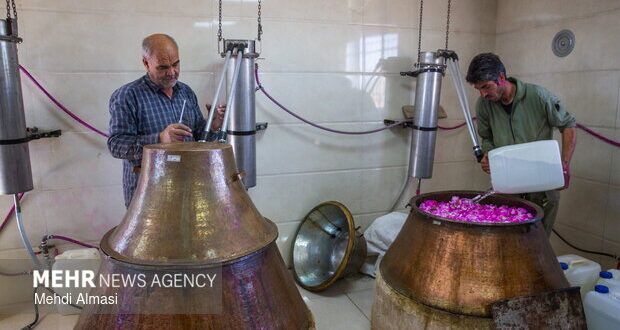 نمایشگاه گل و گلاب در بوستان باغ ایرانی برگزار می‌شود