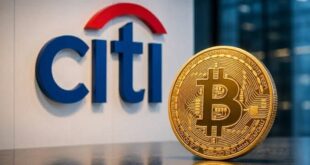 آخرین وضعیت بازار رمزارزها در جهان / عوامل فشار بر بازار رمزارزها افزایش یافت