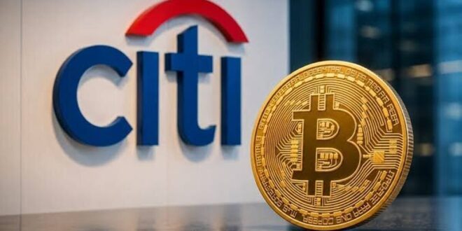 آخرین وضعیت بازار رمزارزها در جهان / عوامل فشار بر بازار رمزارزها افزایش یافت آخرین وضعیت بازار رمزارزها در جهان / عوامل فشار بر بازار رمزارزها افزایش یافت