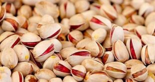 آغاز معاملات گواهی سپرده پسته از سه‌شنبه