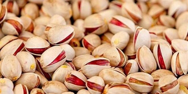 آغاز معاملات گواهی سپرده پسته از سه‌شنبه