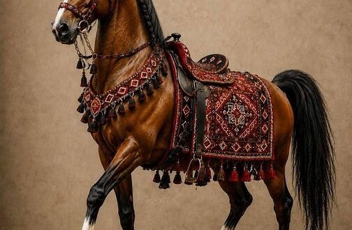 رویداد بزرگ تخصصی، فرهنگی و هنری اسب دره‌شوری در سمیرم برگزار می‌شود/ فضایی برای گفت‌وگو و تبادل دانش و تجربه میان متخصصان حوزه اسب و فعالان فرهنگی، هنری و گردشگری