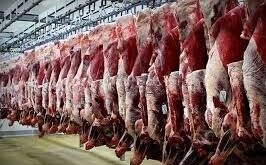 کاهش 6 درصدی تولید گوشت قرمز در تیر 1405