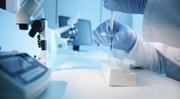 کشف سلاح بالقوه علیه عفونتهای قارچی مرگبار کشف سلاح بالقوه علیه عفونتهای قارچی مرگبار